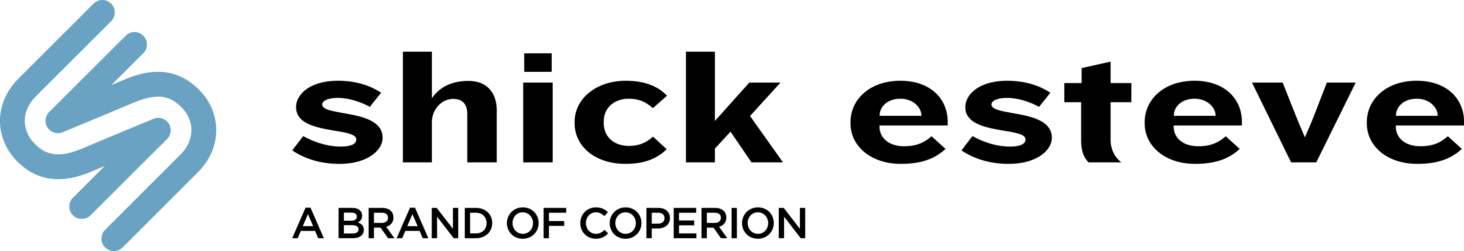 SHICK ESTEVE